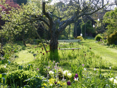 2017-05-07 Gartenimpressionen 6.jpg