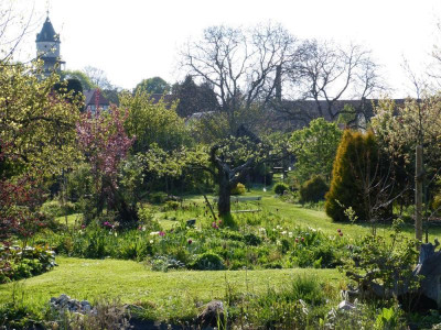 2017-05-07 Gartenimpressionen.jpg