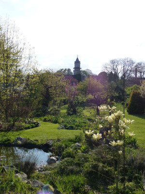 2017-05-07 Gartenimpressionen B.jpg