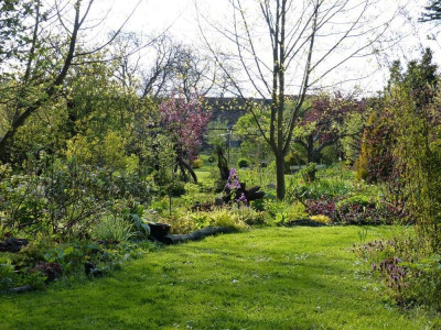 2017-05-07 Gartenimpressionen D.jpg