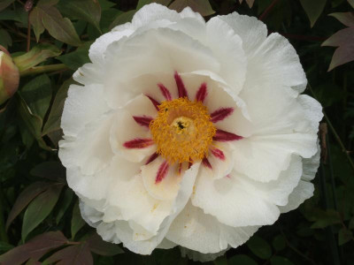 DSCF3788.JPG