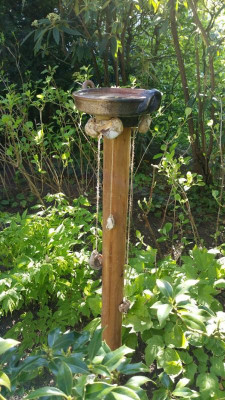 Vogeltränke Hühnergötter.jpg