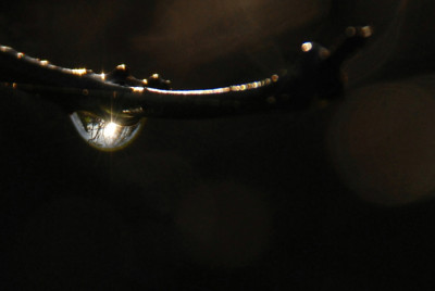 Glitzertropfen-Dezember-2.jpg