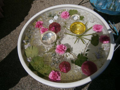 BlüBa Gartentage 17 006.JPG