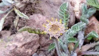 20170507_163425.jpg