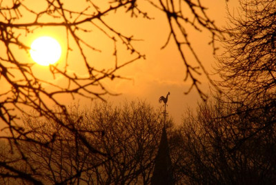 Sonnenaufgang-mit-Hahn.jpg