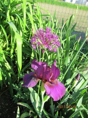 IMG_2993 small.jpg