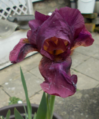 2017-05-07 13.45.42.jpg