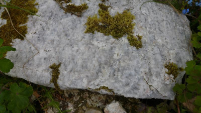 20170510_172228.jpg