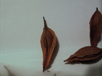 2006-12-13_018_600x450.jpg