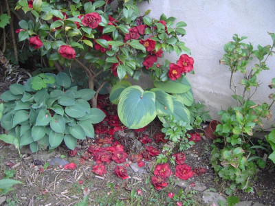 PICT1692.JPG