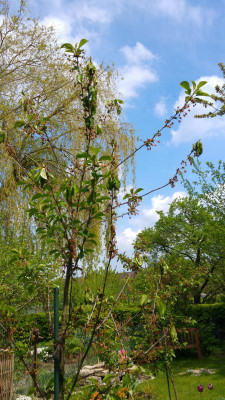 20170513_134757.jpg
