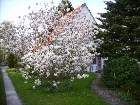 04.05.2006_016.jpg