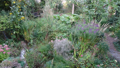 DSC02286.JPG