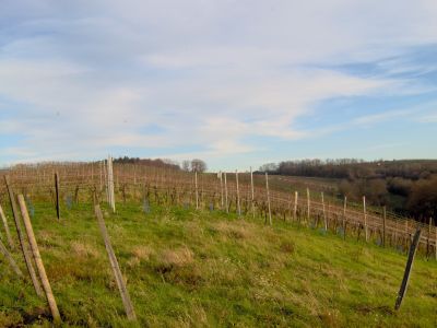 Dezemberwetter.jpg