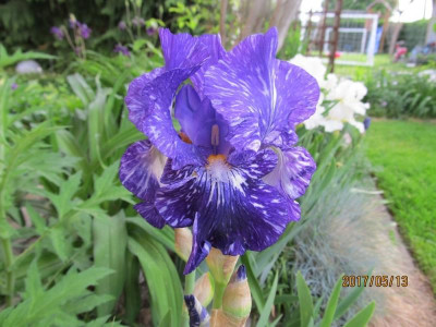 IMG_3025 small.jpg