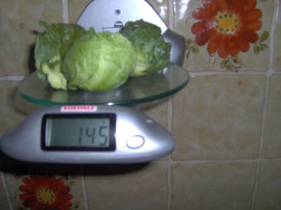 Super-Rosenkohl.jpg