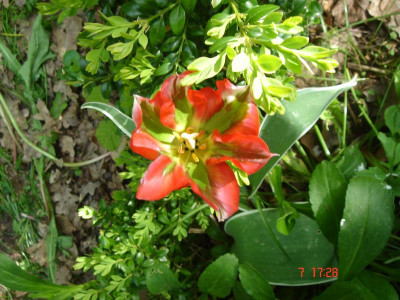 009.JPG