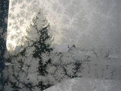 Eisblumen_15.12.2006.JPG