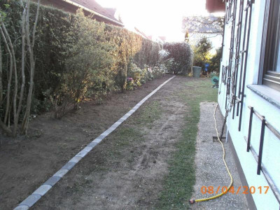 AldiParkplatz.jpg