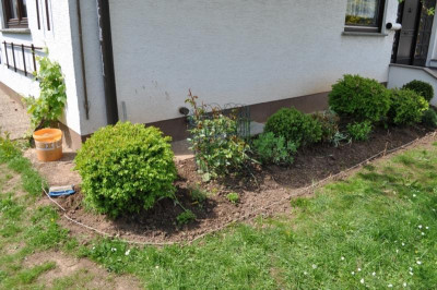 BeetVorDemHaus.jpg