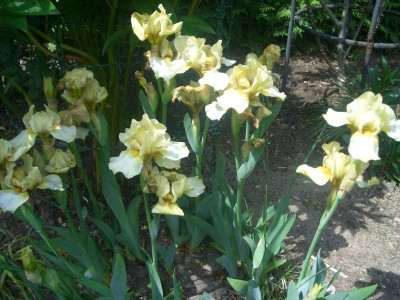 CIMG0055.JPG