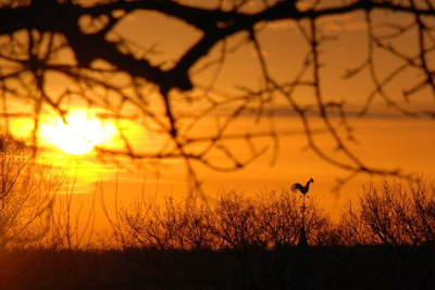 Sonnenaufgang-zerflossen.jpg