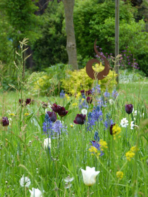 2017-05-16 Gartenimpressionen 1.jpg