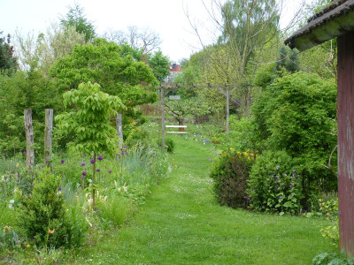 2017-05-16 Garteneinblick 4.jpg