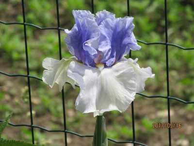 IMG_3073 small.jpg