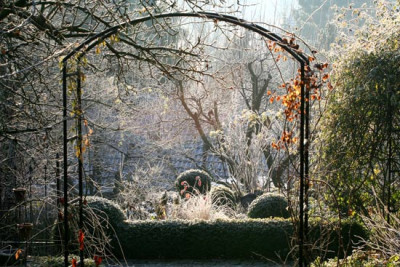 Raureif-Gartenstimmung.jpg