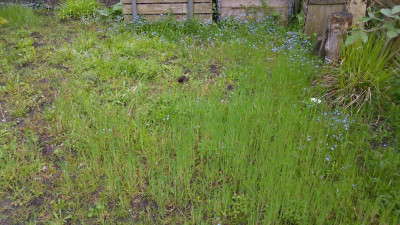 20170516_203542.jpg