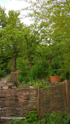 2017-05-18-12-09-26.jpg