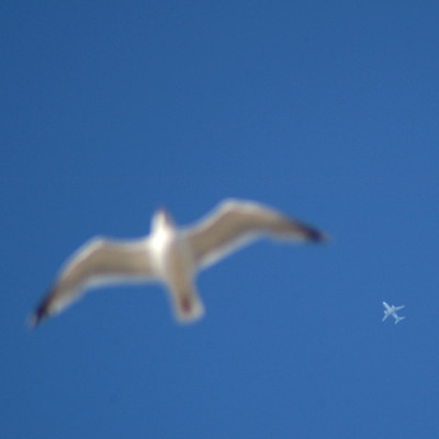 distanz_040530_2_38.jpg