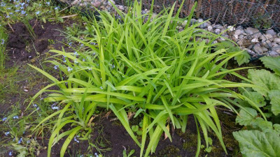 20170516_204059.jpg