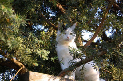 DSC_8526.JPG
