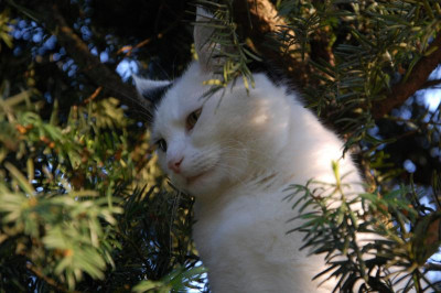 DSC_8527.JPG