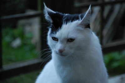 DSC_8536.JPG