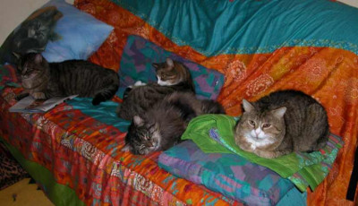Sofa_belegt1.jpg