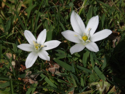 DSCF3804.JPG