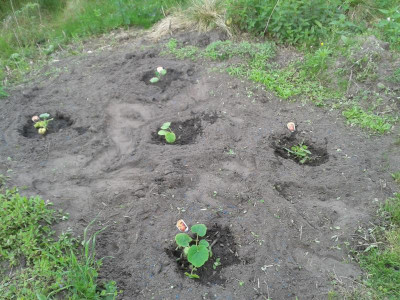 20170521_173929.jpg