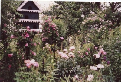 Terrassenbeet.jpg