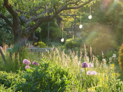 2017-05-21 Gartenimpressionen 1.jpg