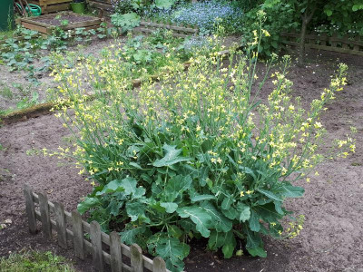 20170520_164031.jpg