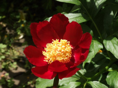 DSCF3853.JPG