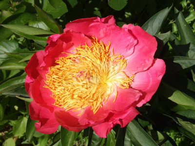 DSCF3862.JPG