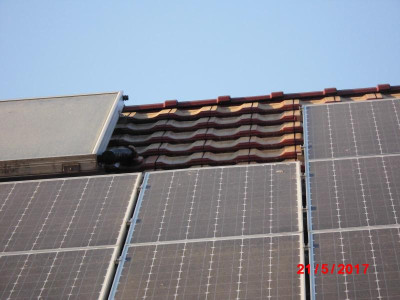 DSCI0947.JPG