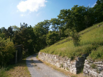 geigersberg mai 17 019.JPG