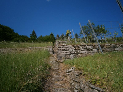 geigersberg mai 17 027.JPG