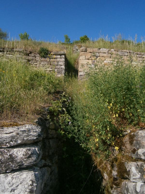 geigersberg mai 17 044.JPG